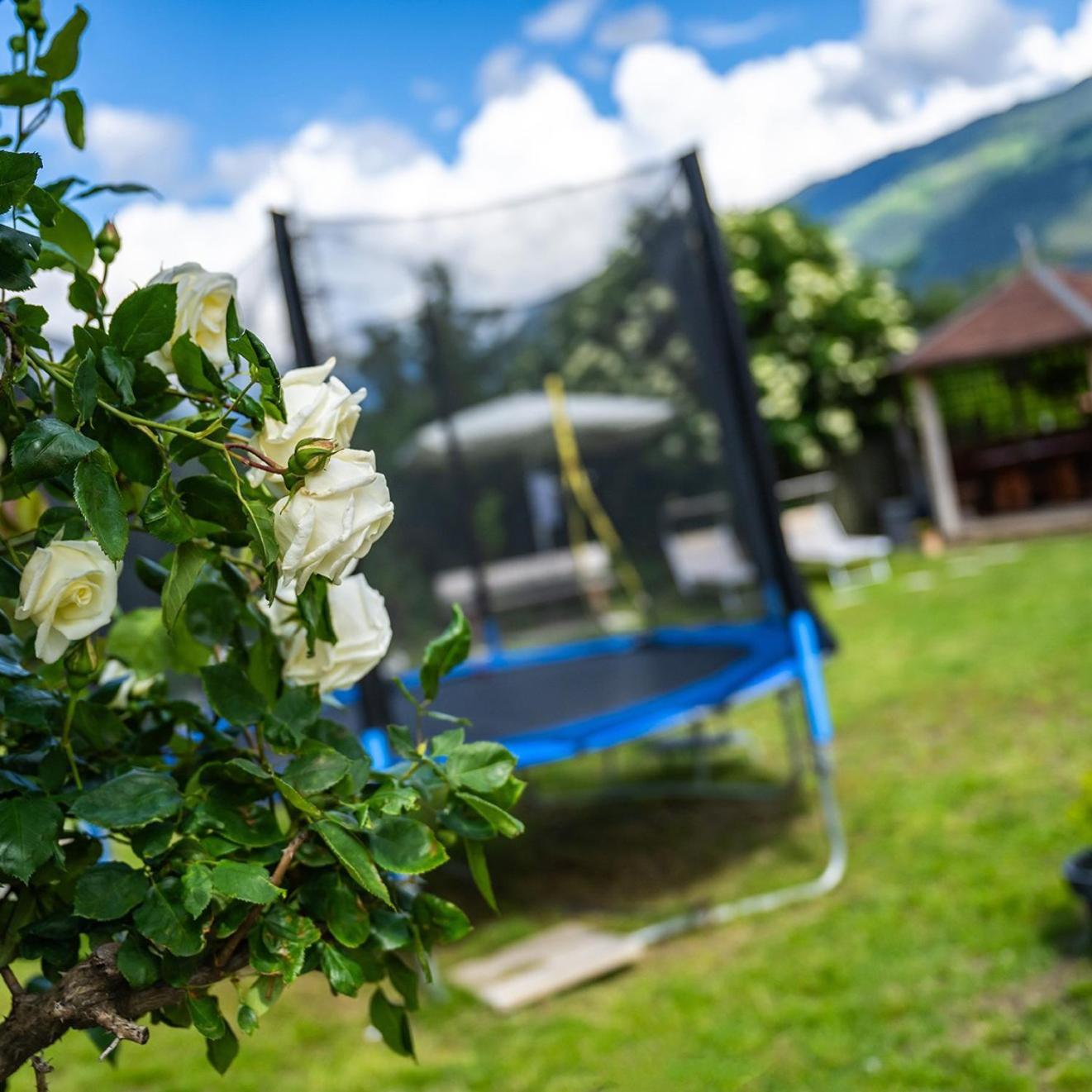 Apartament Biohof Gala Naturns Zewnętrze zdjęcie